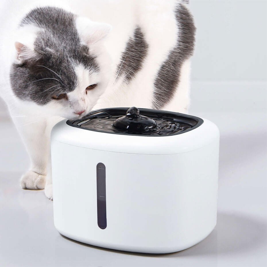 Bebedero Fuente con LED XT-CAT para Perros y Gatos 2.5L Automático