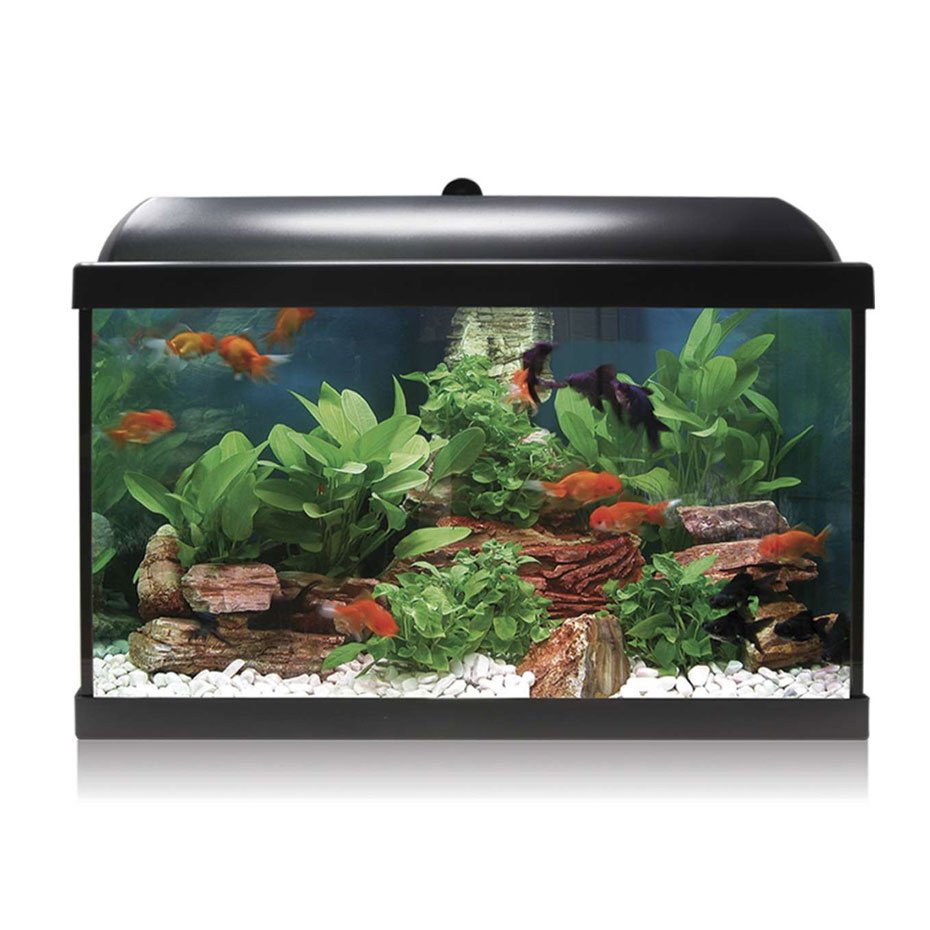 Kit Acuario AQUA LED PRO 45 L Negro – Completo con Filtro, LED y Accesorios