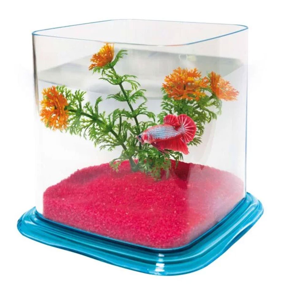 Betera BETTA PARADISE 1.9L Acuario Compacto con Decoración Incluida