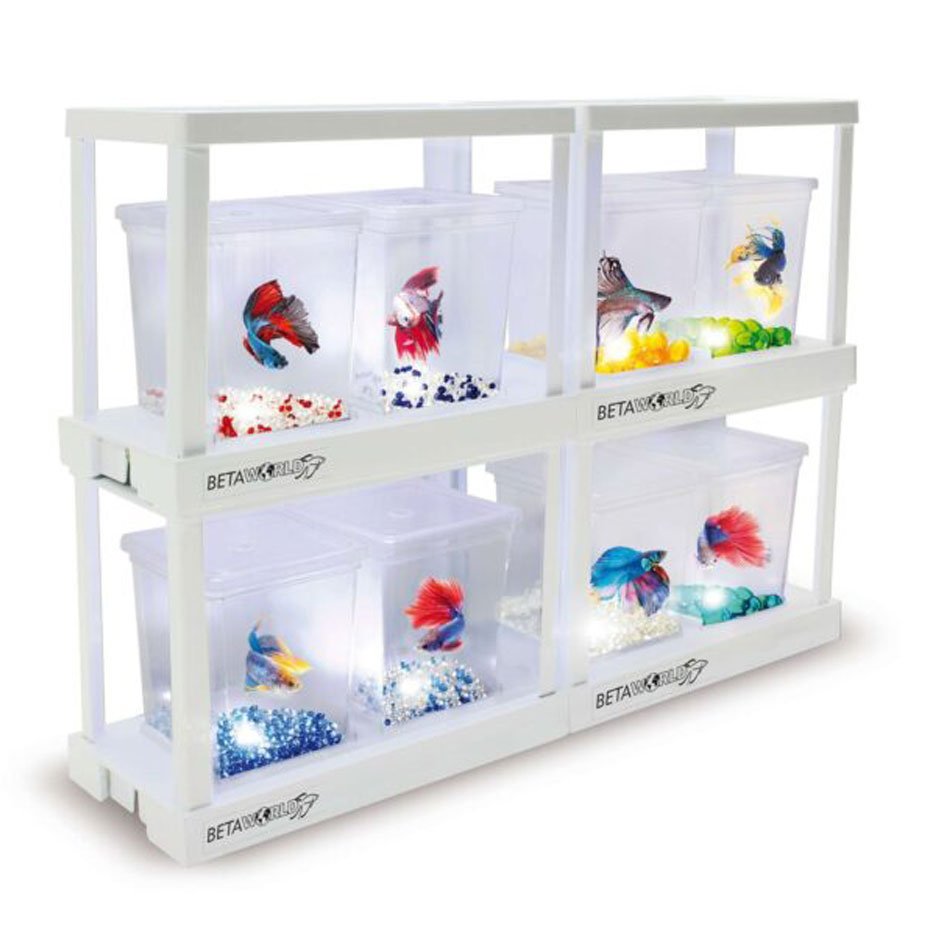 Betera BETAWORLD Ampliación 0.75L Módulo Adicional para Peces Betta
