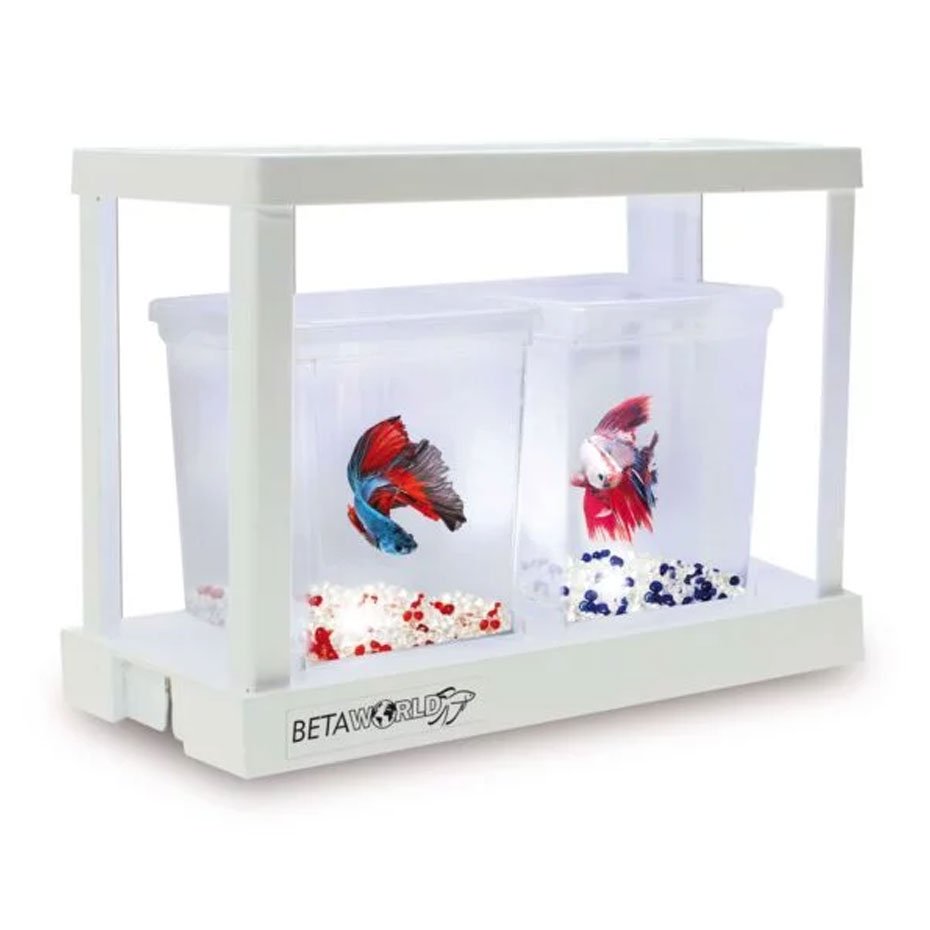 Betera BETAWORLD Iniciación 0.75L Acuario Modular para Bettas