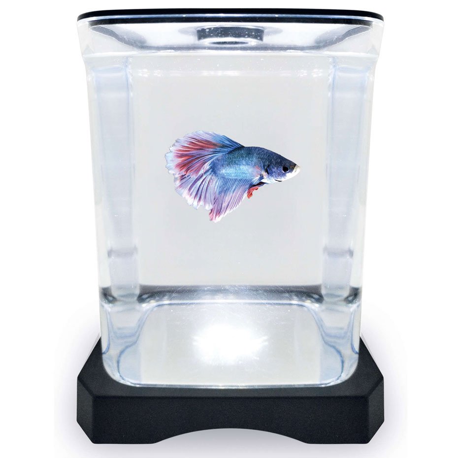 Betera Negra con Luz LED ICA 1.5L Acuario Compacto para Peces Betta