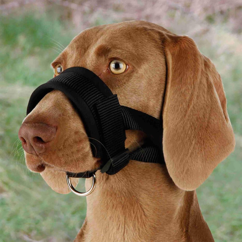 Bozal ajustable negro con neopreno para perros cómodo y seguro