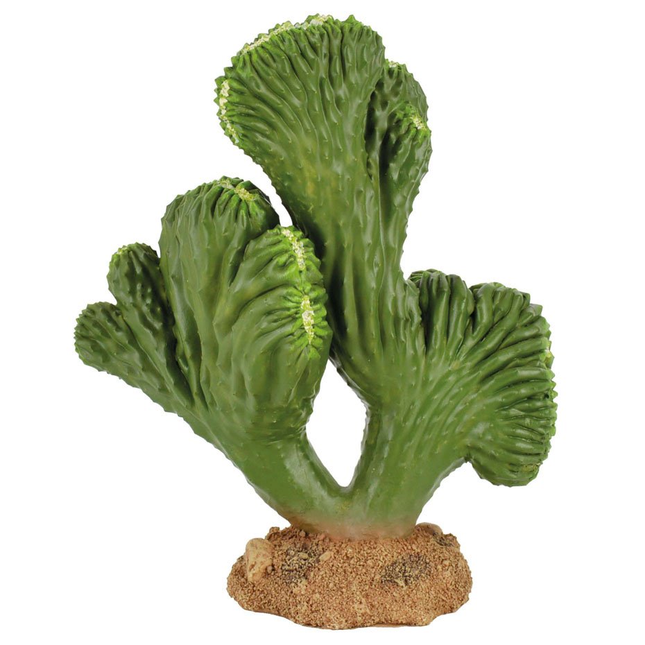 Ornamento Cactus Cerebro REPTI-SELVA 14.5 cm Decoración para Terrarios
