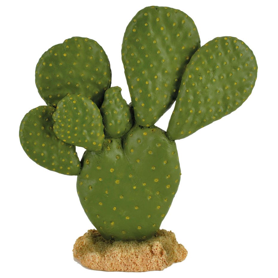 Ornamento Tunera REPTI-SELVA 12.5 cm Decoración Desértica para Terrarios