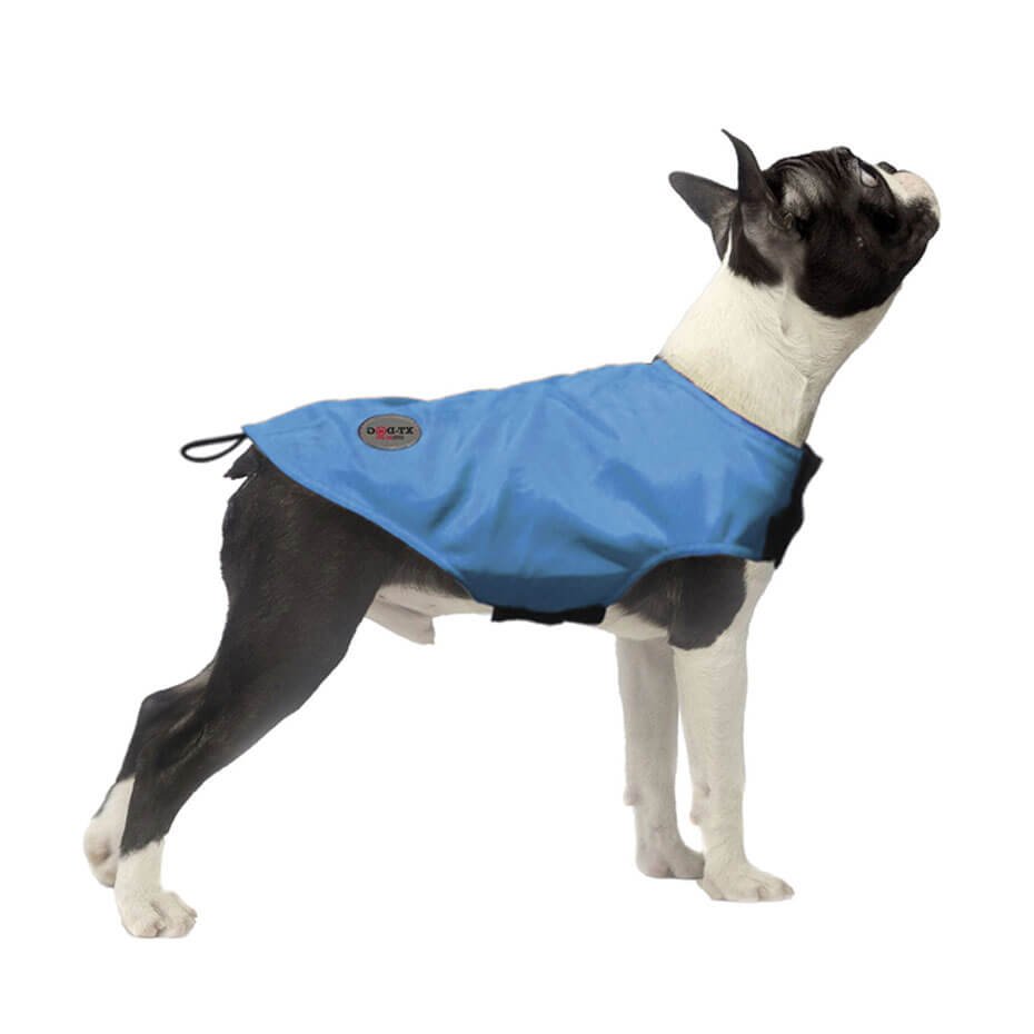 Abrigo impermeable Rain celeste XT-DOG para perros resistente al agua