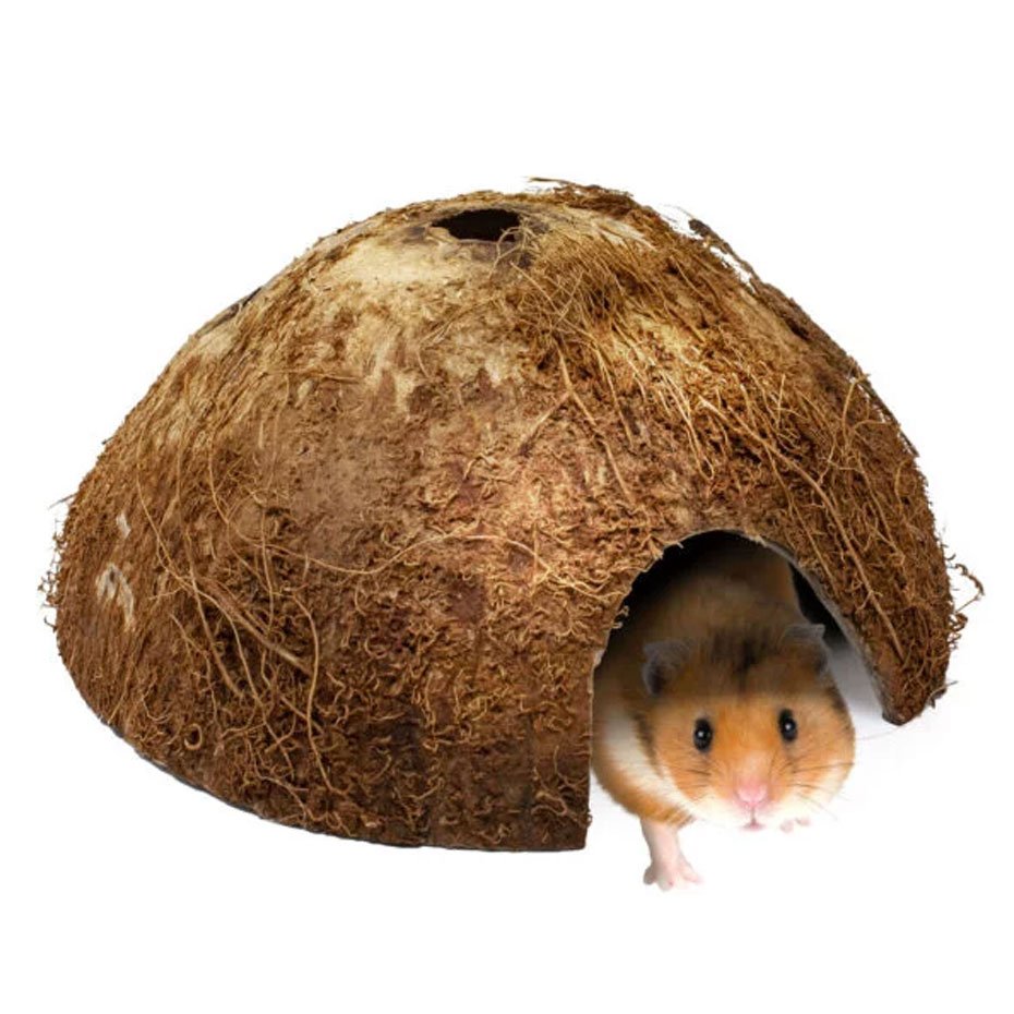 Medio Coco Natural para Roedores 12 cm Refugio y Enriquecimiento