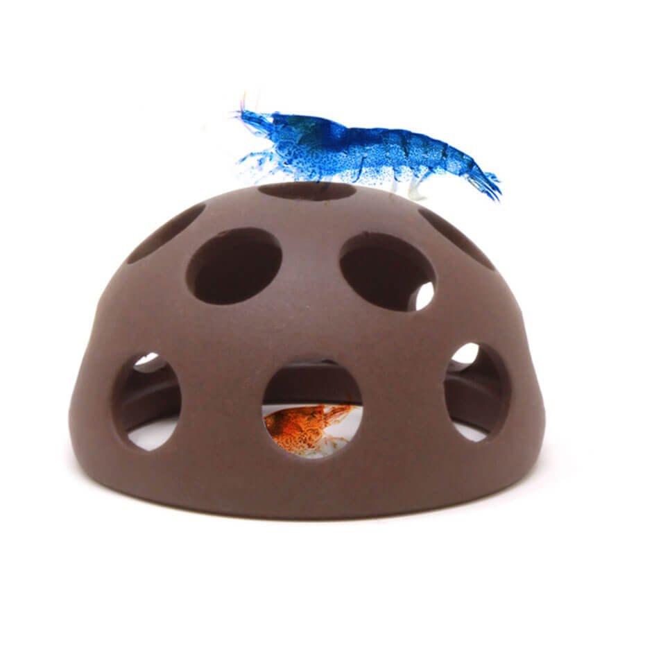 Aquavitro Cúpula para Gambas Refugio Cerámico Acuario Crustáceos