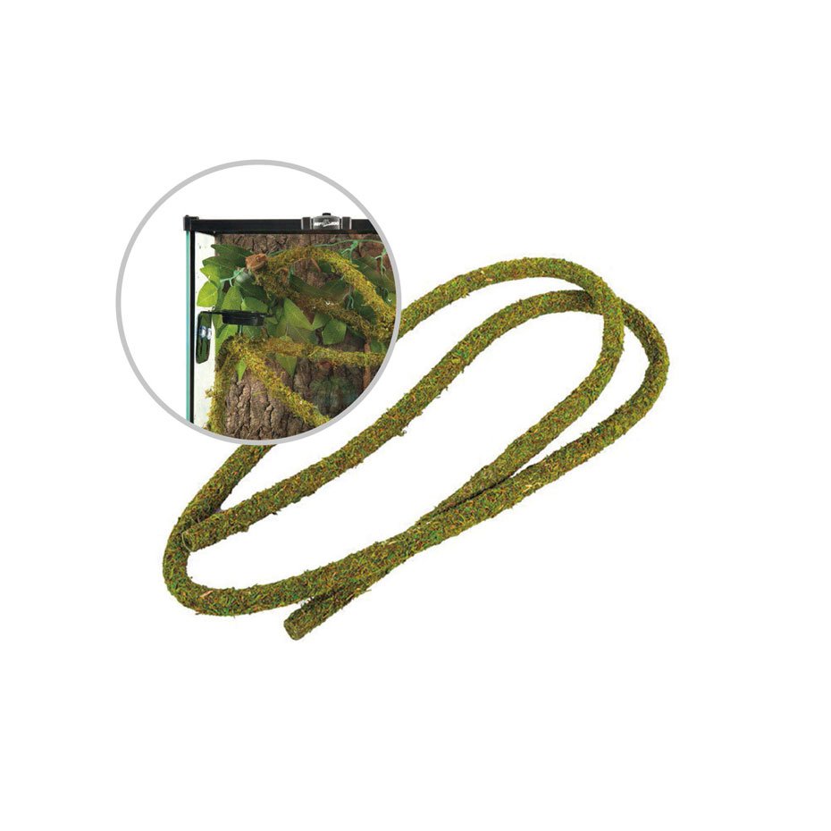 Liana Tropical con Musgo REPTIZOO 200 cm Decoración Natural para Terrarios