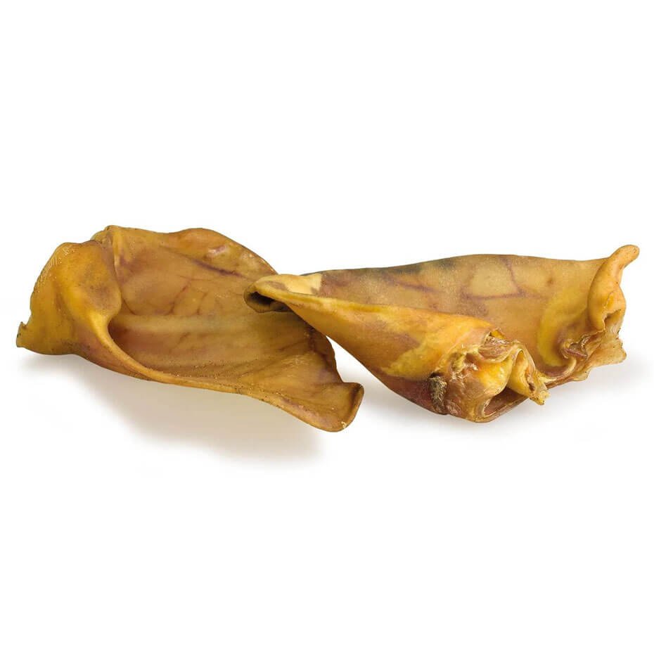 Oreja de cerdo XL deshidratada para perros – snack natural dental