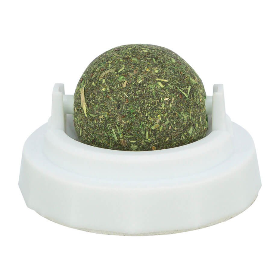 Pelota de Catnip con Soporte Adhesivo 5 cm para Gatos