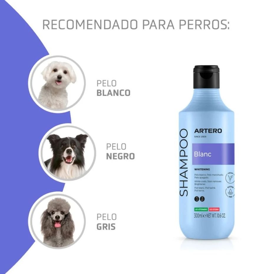 Champú Artero Blanc 300ml para Pelos Blancos Negros y Grises