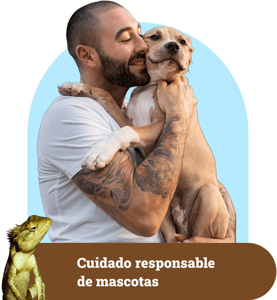 hombre con perro cuidado responsable de mascotas