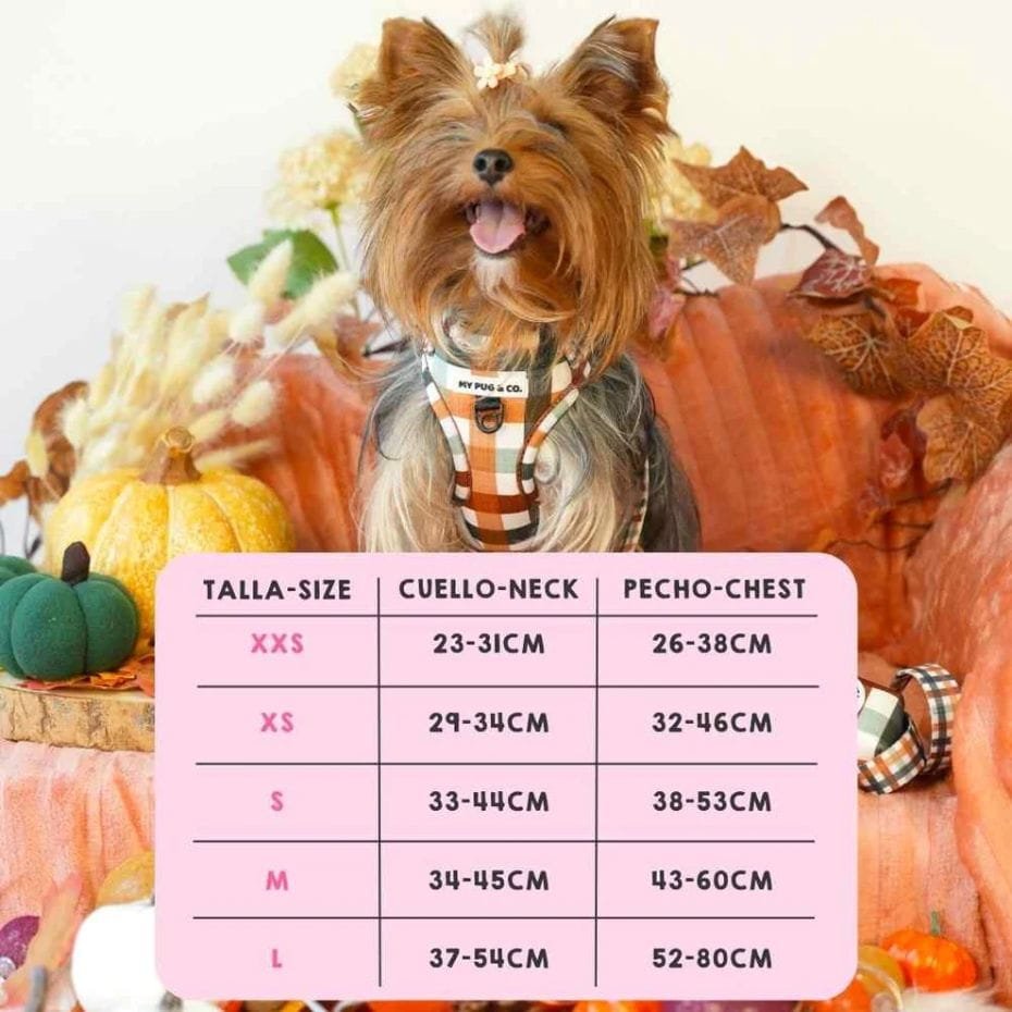 Mypug&Co Arnés Ajustable Autumn Picnic para Perros – Talla XXS 2 Mypug&Co Arnés Ajustable Autumn Picnic para Perros – Talla XXS - Imagen 2